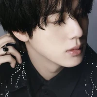 Kim seokjin/queen/tae