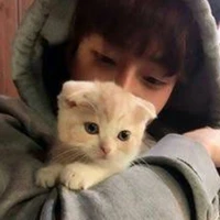 โดนัท:นอ.