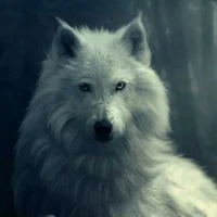 Tae (Taehyung wolf)
