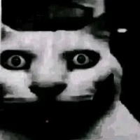 แอดเอง😏🫦🫦