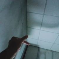 เป็นทุกอย่าง