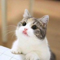 คายะ🐱