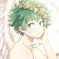 izuku Midoriya(OP)