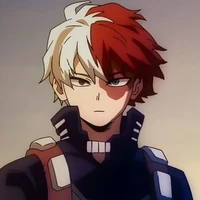 Shoto todoroki(A)