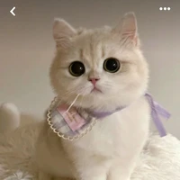 อั่งเปา