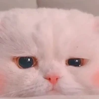 แอด