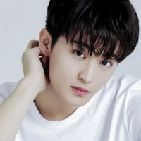 mark