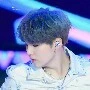 suga