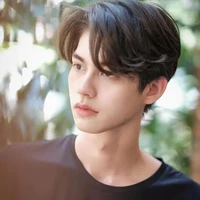 ฟิน(บอดี้การ์ดนางเอก)