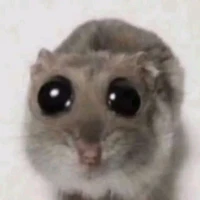 Yo