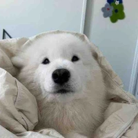 ชิล่า (ลูกรัก เจียน)