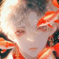 noa