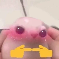 ★~Yo~★