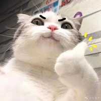 แอดเองง._.