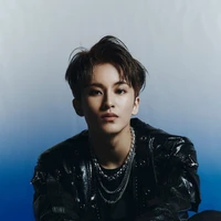 jung mark