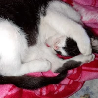 Autora :b