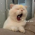 คนเขียน
