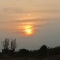 แอดเอง