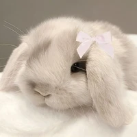 นาเนีย(ร่างแปลง)