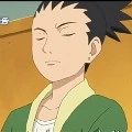 Nara shikadai