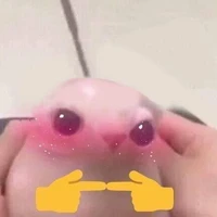 autora🫦🫦