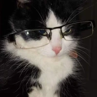 Author 😼
