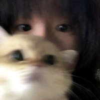 ซิน