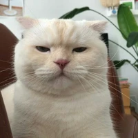 ปิ่นเอง