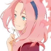 sakura