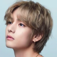 Kim Taehyung/Supreme Omega.