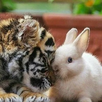 Erased Author from the Ctrl+Z Clan