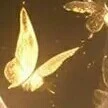 magical butterfly