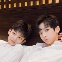 les jumeaux 12ans