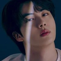 Kim Seokjin/Alpha/Butler