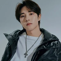 Renjun Altezza gavin