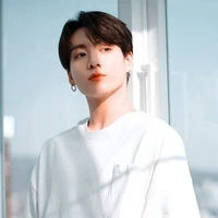 jungkook ( alpha dominant Royal )