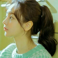 SEO y/n