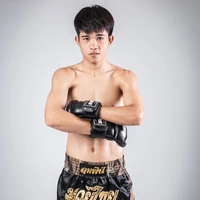 เตชิน