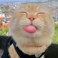 ทิเทีย