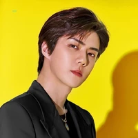 Pak Anton