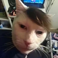 แอดเอง