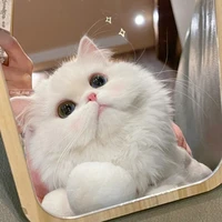 แอดดด