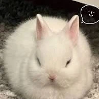 แอด🐰
