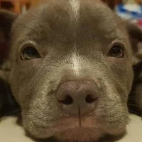 แอดดดดด