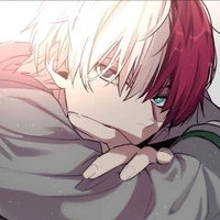 shoto todoroki