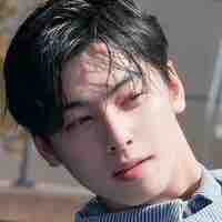 Cha Eunwoo/Jeon bff(alpha)