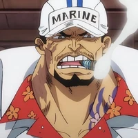 sakazuki akainu