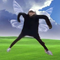 I BELIEVE I CAN FLY (AUTHOR)