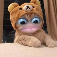แอดเองข๊ะ