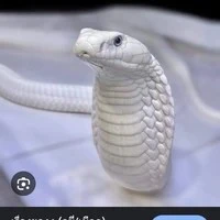 ไวน์🤍